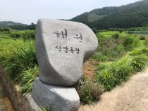 고흥 해원 산양 목장